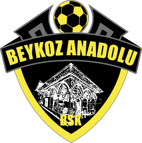 Beykoz Anadoluspor Logosu